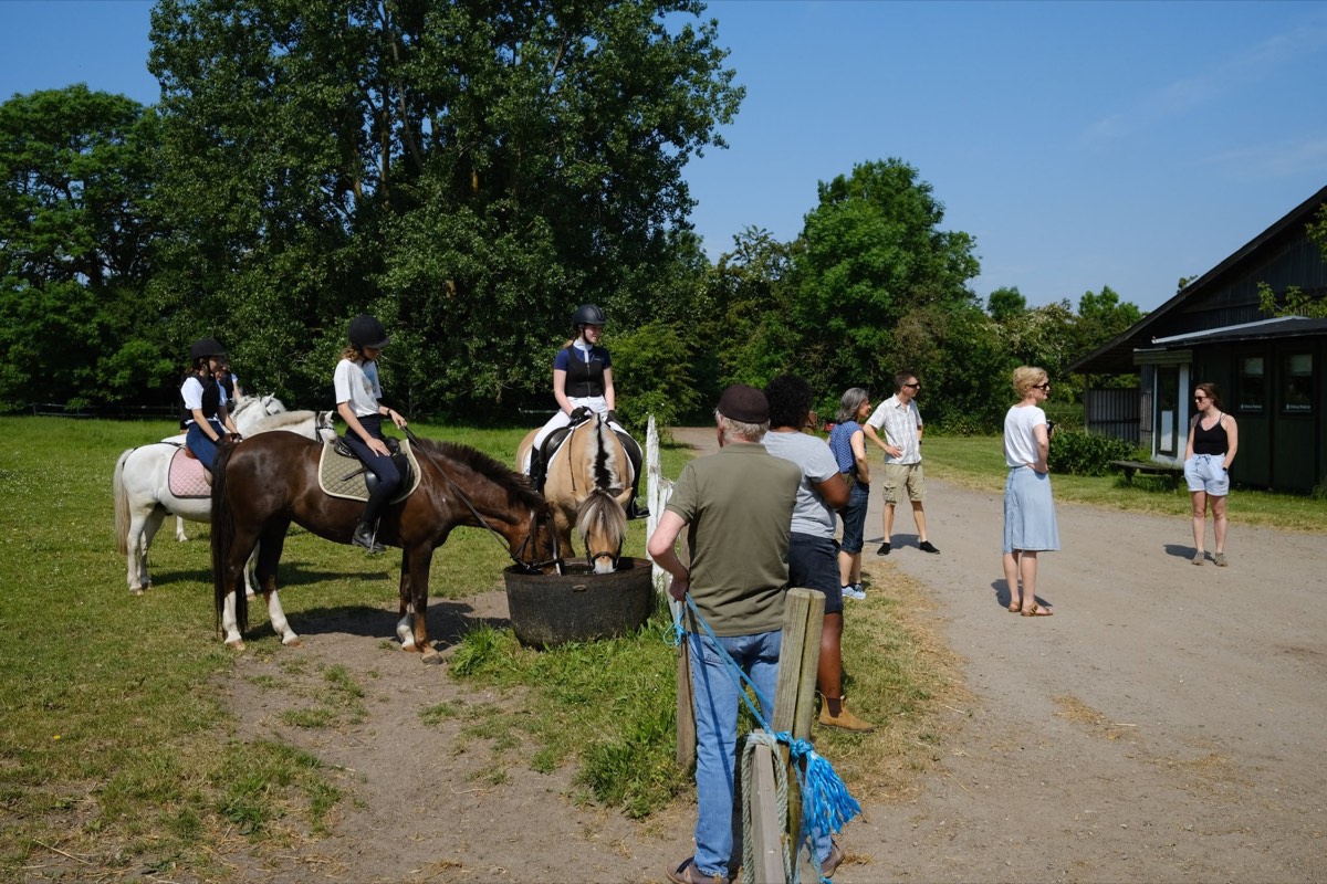 Ryttere og familie samlet om en hest en solrig dag